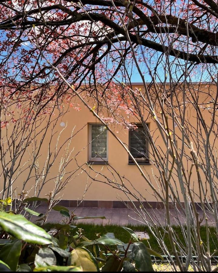 Pioppi Neri R&B Bed & Breakfast Felino Exterior foto