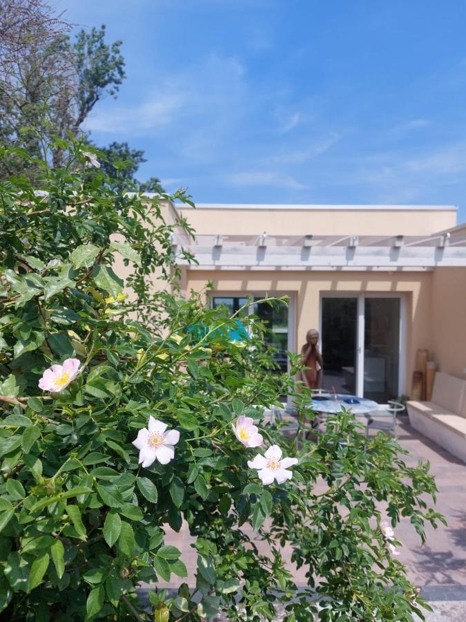 Pioppi Neri R&B Bed & Breakfast Felino Exterior foto